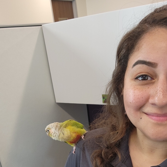 Meet your Posher, Erica! - Picture 4 of 5